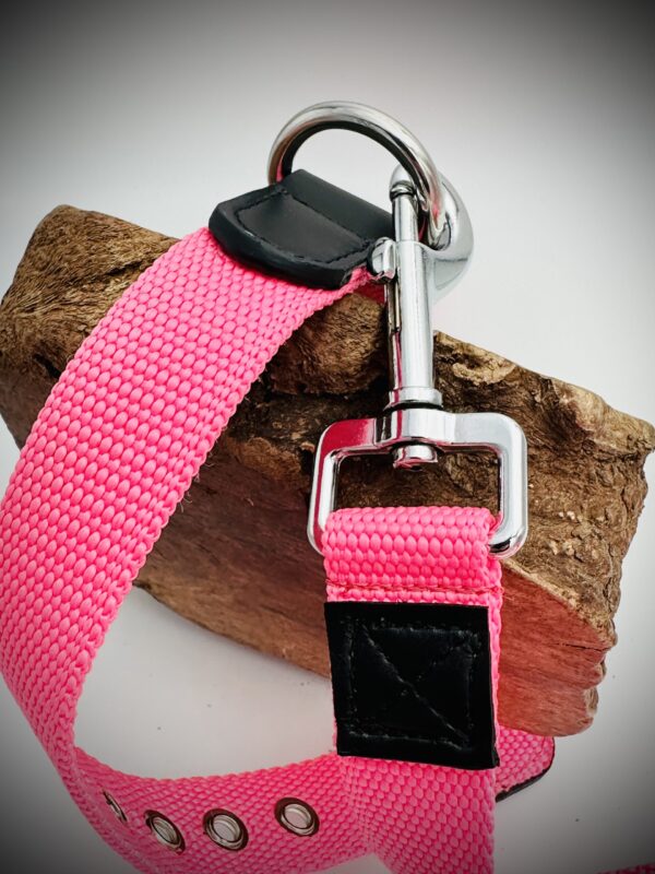 Collier et Laisse Rose