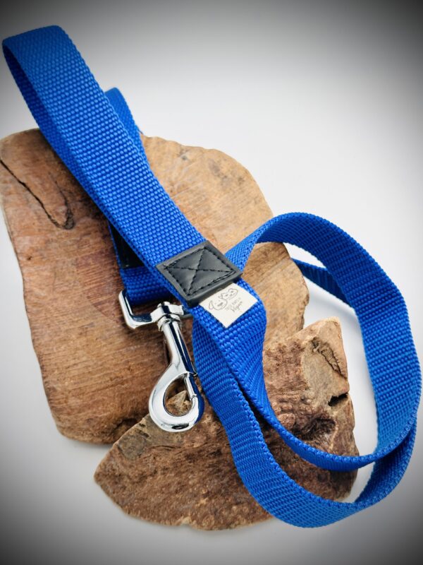Collier Bleu