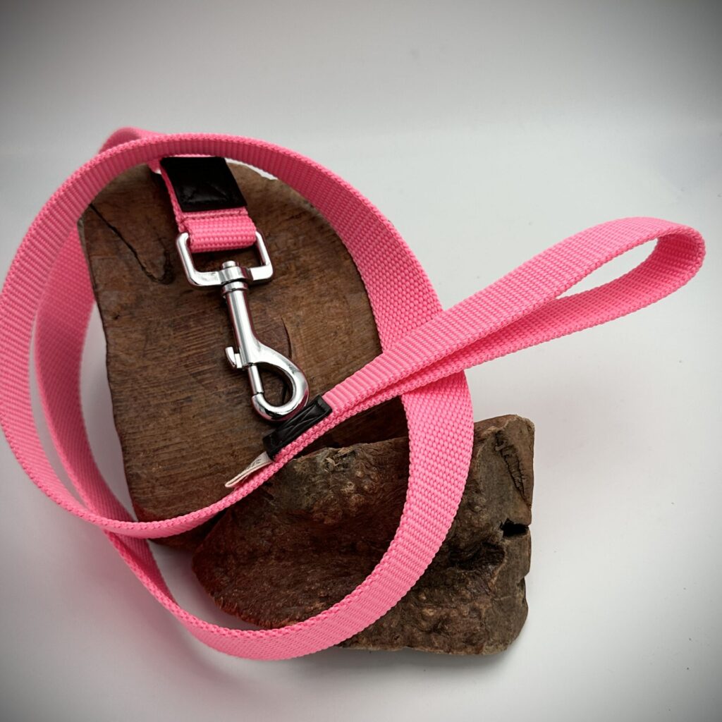 Laisse rose