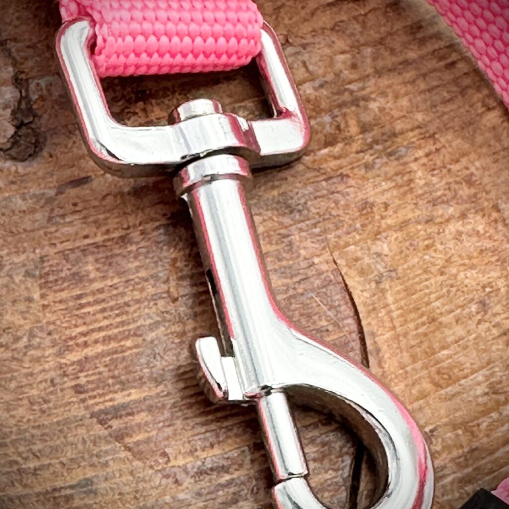Laisse rose