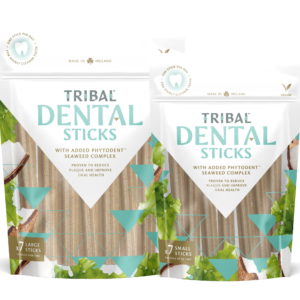 Tribal Dental Sticks Mock Front LARGE SMALL together