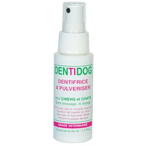 Dentifrice N°1 spray