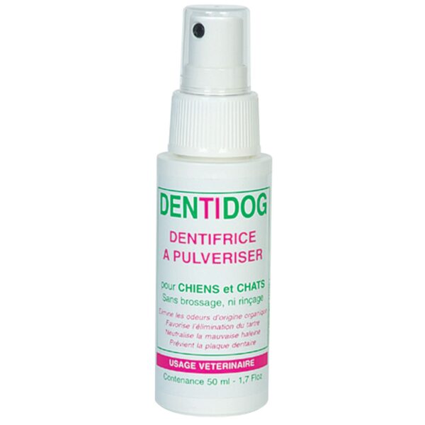 Dentifrice N°1 spray